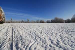 Der Harz im Winter