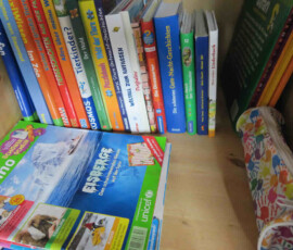 Bücher, Zeitschrift und Spielzeug im Ferienhaus Hohegeiß